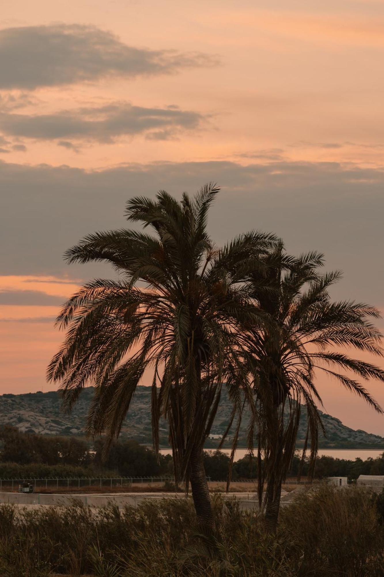 Villa Vaya Αγία Άννα Εξωτερικό φωτογραφία